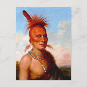 Kung's Wicked Chief's vycard Vykort
