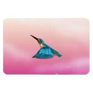 kungsfiskare Fågel Magnet
