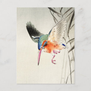 Kungsfiskare Jagar (förstorad ) - Ohara Koson - Vykort