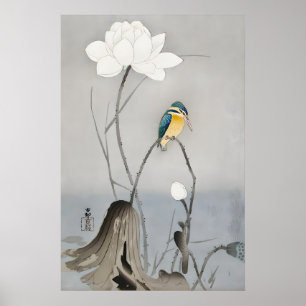 Kungsfiskare med Lotusblomma Japansk Fin Konst Poster