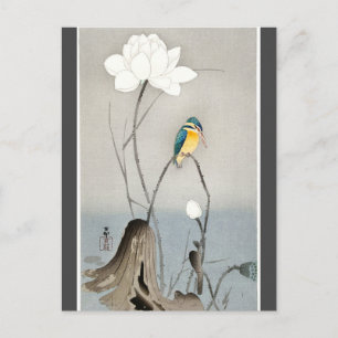 Kungsfiskare med Lotusblomma Ohara Koson kolkrita Vykort