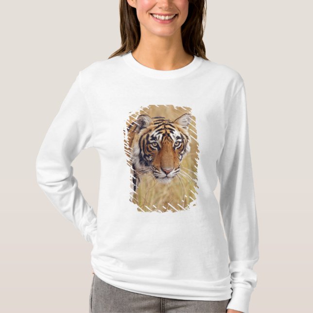 Kungslig Bengalisk Tiger Tee Shirt (Framsida)
