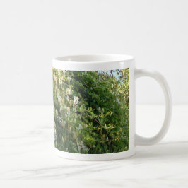 Kungsljus På En Vägg Kaffemugg