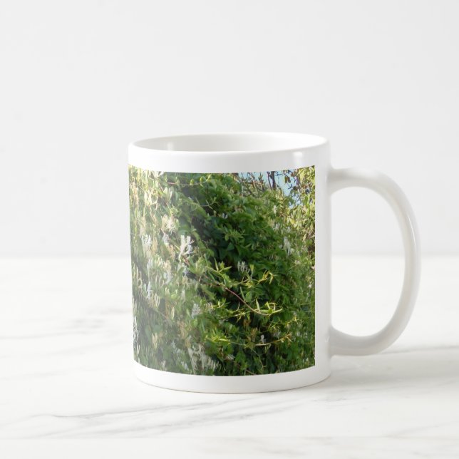 Kungsljus På En Vägg Kaffemugg (Höger)