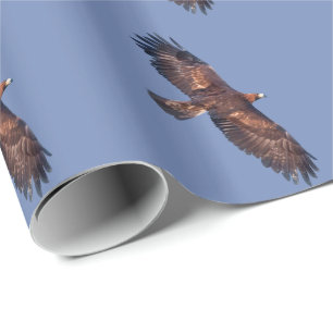 Kungsörn i flykt Presentpapper
