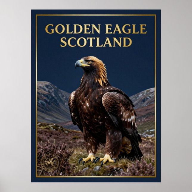🦅 Kungsörn Skottland Highland Fågel Poster (Framsidan)