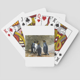 Kungspingvin Casinokort