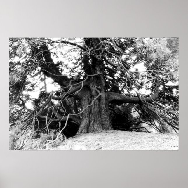 Kunskap Poster (Framsidan)