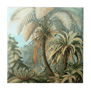 Kunstformen der Natur, Filicinae - Ernst Haeckel Kakelplatta