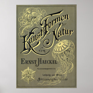 Kunstformen der Natur-täckning Poster