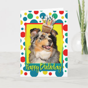 Kupaka från födelsedagen - Australian shepherd - D Kort