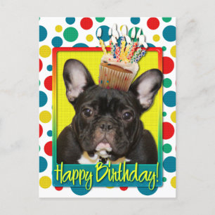 Kupaka från födelsedagen - Fransk Bulldog - Teal Vykort