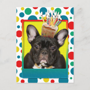 Kupaka från födelsedagen - Fransk Bulldog - Teal Vykort