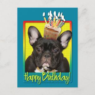 Kupaka från födelsedagen - Fransk Bulldog - Teal Vykort