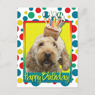 Kupaka från födelsedagen - GoldenDoodle Vykort