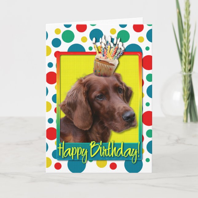 Kupaka från födelsedagen - Irish Setter Kort (Framsida)