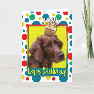 Kupaka från födelsedagen - Irish Setter Kort