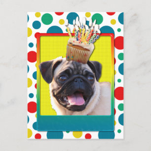 Kupaka från födelsedagen - Pug Vykort