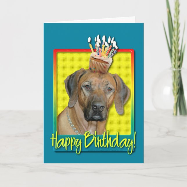 Kupaka från födelsedagen - Rhodesian Ridgeback Kort (Framsida)