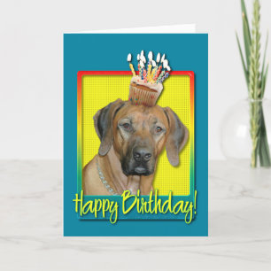 Kupaka från födelsedagen - Rhodesian Ridgeback Kort