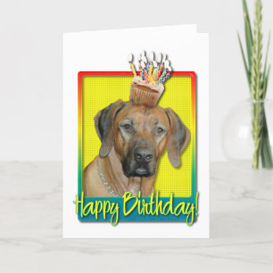 Kupaka från födelsedagen - Rhodesian Ridgeback Kort