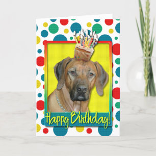 Kupaka från födelsedagen - Rhodesian Ridgeback Kort