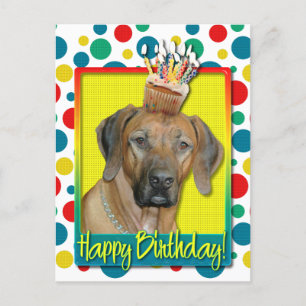 Kupaka från födelsedagen - Rhodesian Ridgeback Vykort