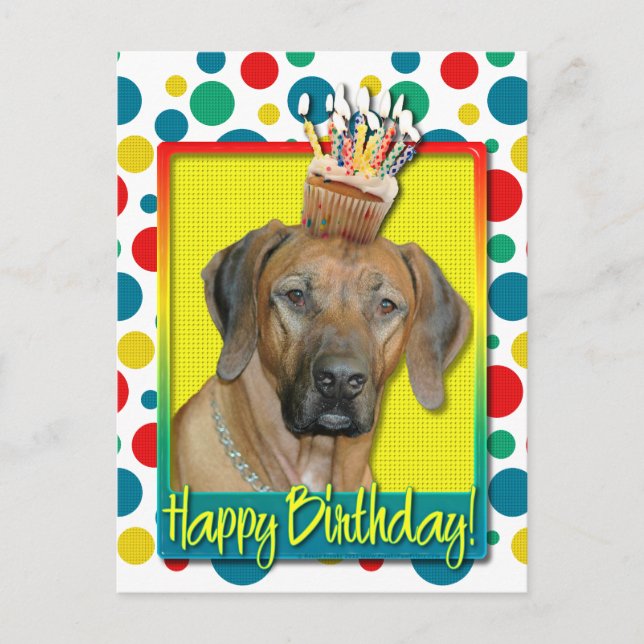 Kupaka från födelsedagen - Rhodesian Ridgeback Vykort (Framsida)