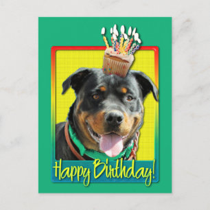 Kupaka från födelsedagen - Rottweiler - SambaParTi Vykort