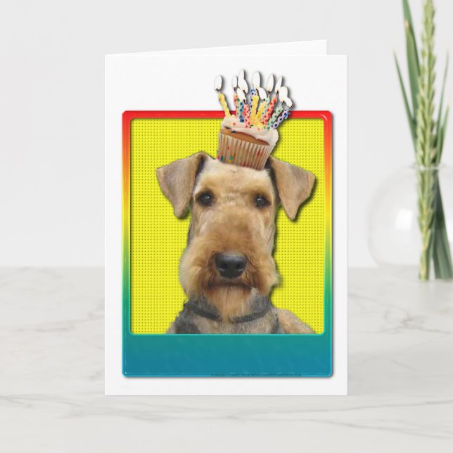 Kupkaka från födelsedagen - Airedale Kort (Framsida)
