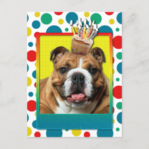 Kupkaka från födelsedagen - Bulldog - Mörk Vykort