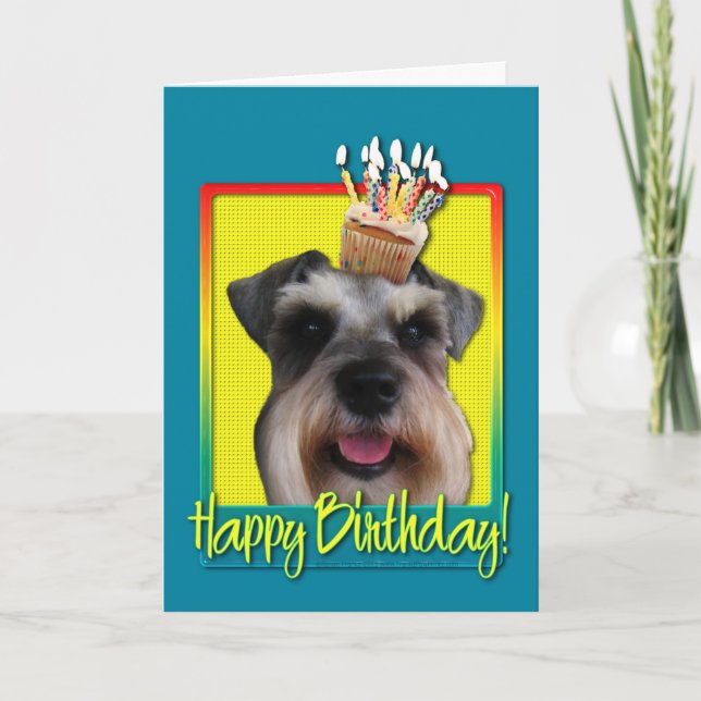 Kupkaka från födelsedagen - Schnauzer Kort (Framsida)