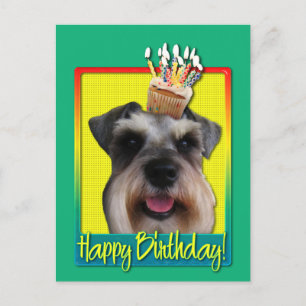 Kupkaka från födelsedagen - Schnauzer Vykort