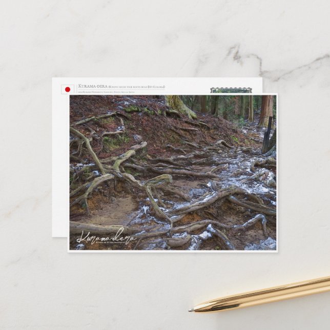 Kurama-dera (Kinone-michi tree roots road) ポストカード Vykort (Fram/Back In Situ)