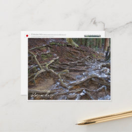 Kurama-dera (Kinone-michi tree roots road) ポストカード Vykort