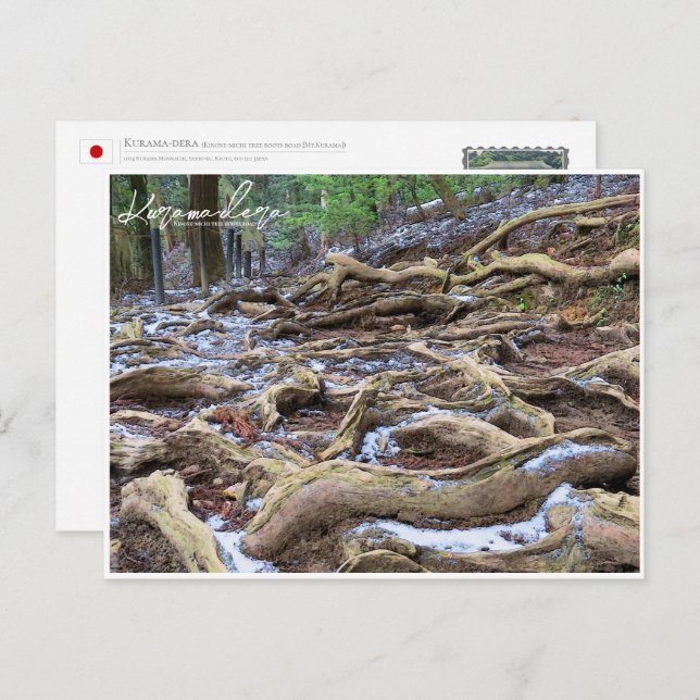 Kurama-dera (Kinone-michi tree roots road) ポストカード Vykort (Fram/baksida)