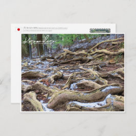 Kurama-dera (Kinone-michi tree roots road) ポストカード Vykort