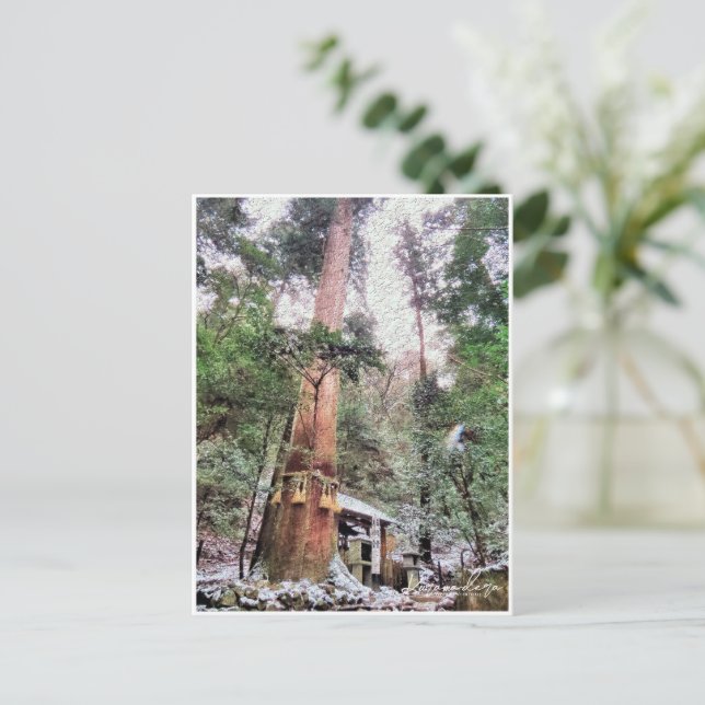 Kurama-dera (Yoshitsune-do hall) Vykort (Stående Fram)