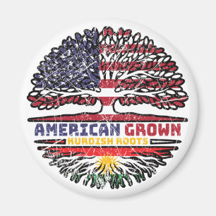 Kurdistan Kurdiska amerikanska amerikanska amerika Magnet