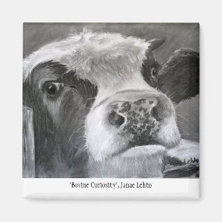 Kuriologi hos nötkreatur magnet