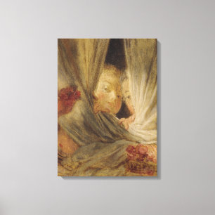 Kuriositet Canvastryck