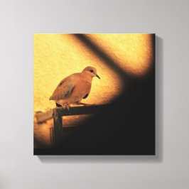 Kuriositet Canvastryck