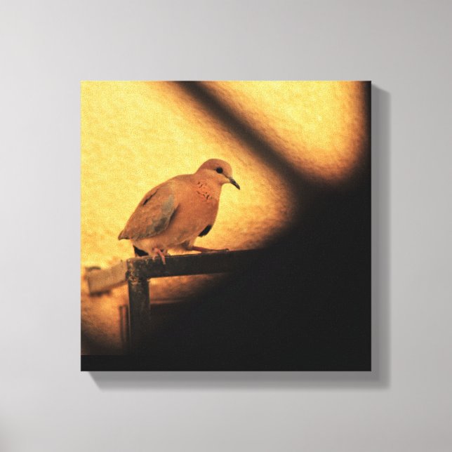 Kuriositet Canvastryck (Framsida)