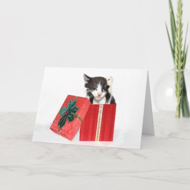 Kuriositet fick julkattungen helgkort (Framsida)