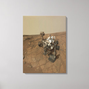 Kuriositet härjar Yta i Mars. Canvastryck