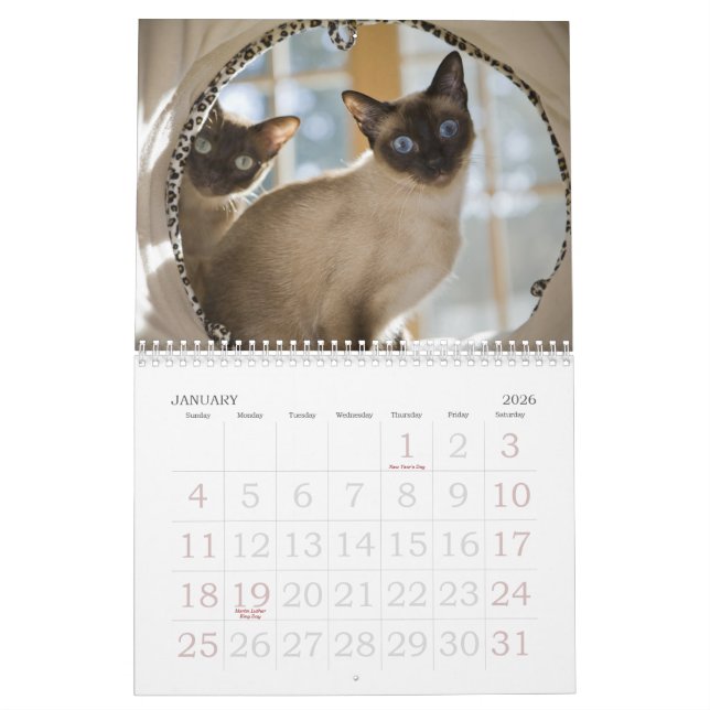 Kuriositet Kalender (Jan 2026)