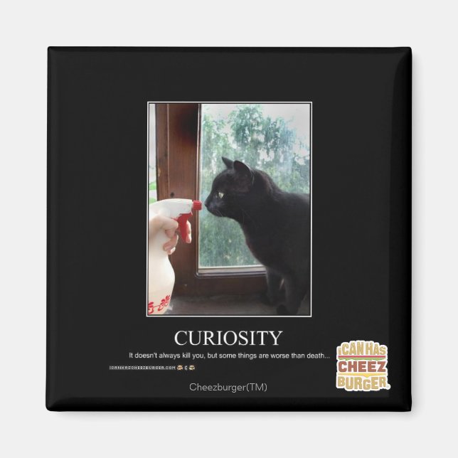 Kuriositet Magnet (Framsidan)