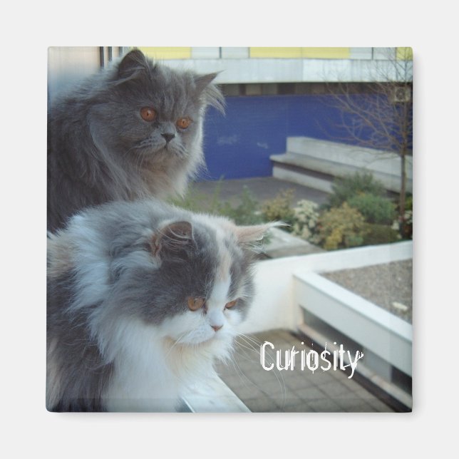 Kuriositet Magnet (Framsidan)