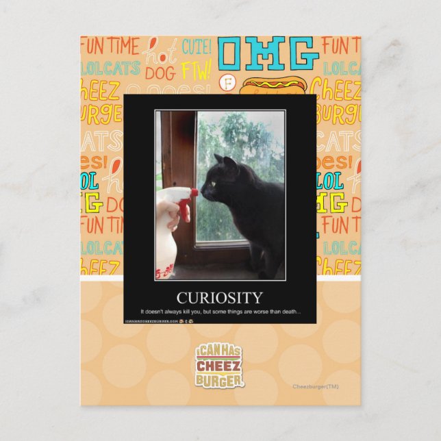 Kuriositet Vykort (Framsida)