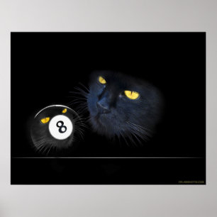 KuriousKat Poster